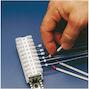 brady_133005_2