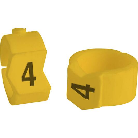 brady_333504