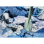 bosch_1618601011_6