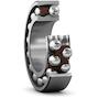 skf_1309etn9c3