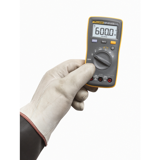 fluke_6101437_4