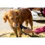 karcher_26444210