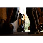 dewalt_dcmwsp156n_xj_16