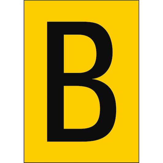 brady_911056