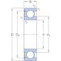 skf_6309_rs1_2