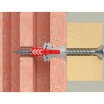 fischer_535459_6