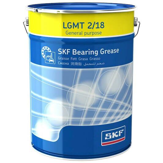 skf_lgmt218
