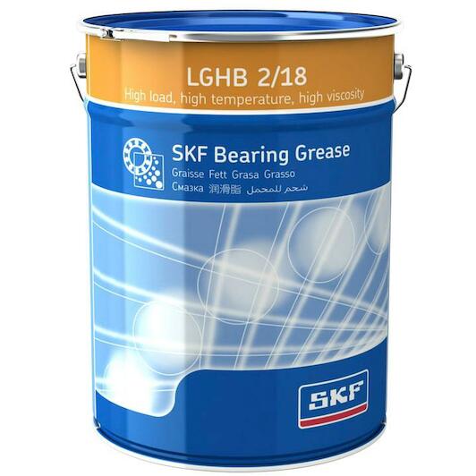 skf_lghb218
