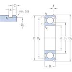 skf_210_znr_2