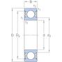 skf_6224_2rs1_2