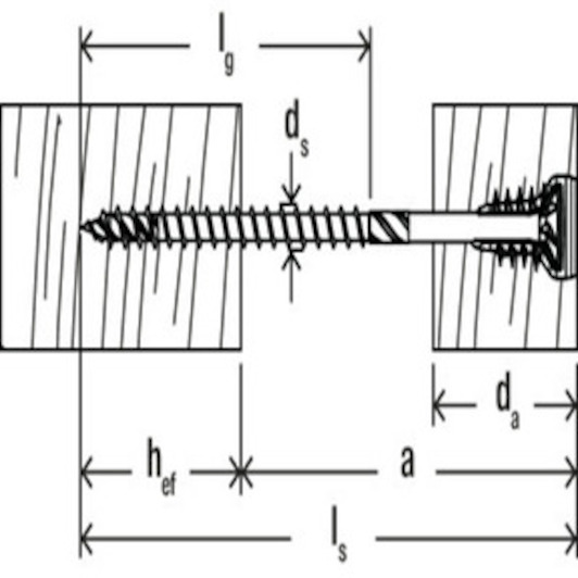 fischer_558879_6