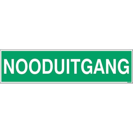 brady_253304