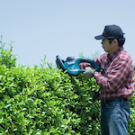 makita_uh6580