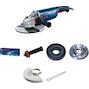 bosch_06018c3100