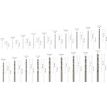 bosch_2608587013_4