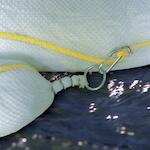 spc_813767_3