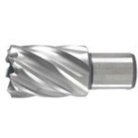 hikoki_754482
