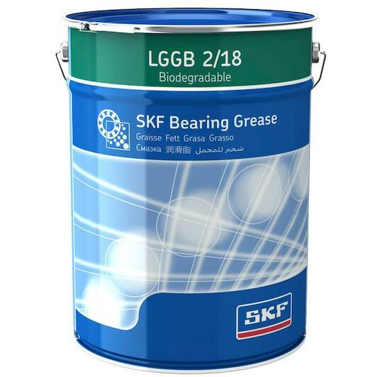 skf_lggb218