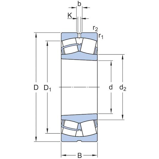 skf_23064cckw33_2