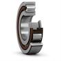 skf_nup219ecp