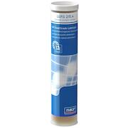 skf_lgfg204