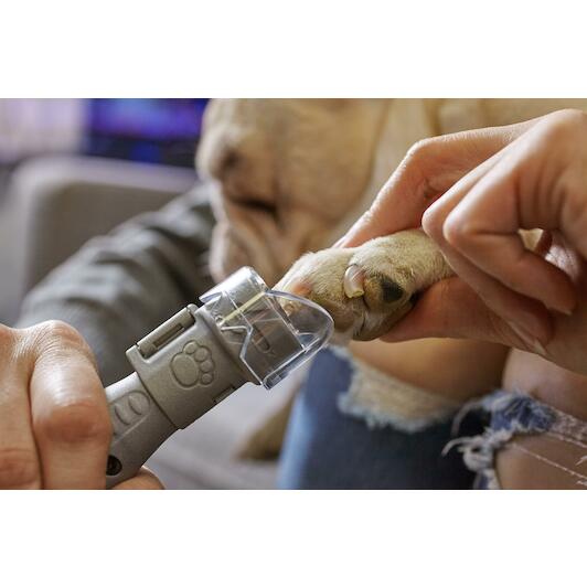 dremel_f0137020ja