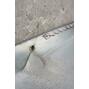 spit_224722