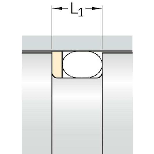 skf_str40x45x13_y95a_4