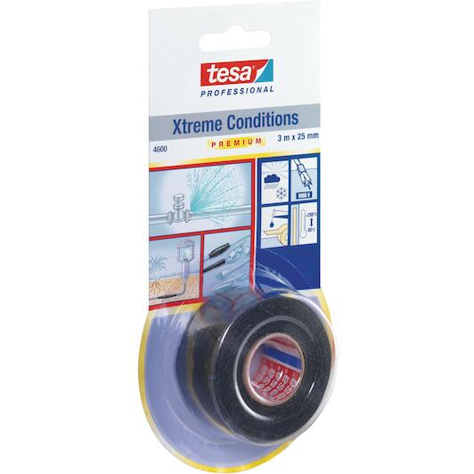 tesa_04600_00006_01_3
