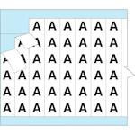 brady_111519_2