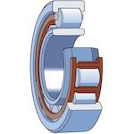 skf_nup311ecnmc3
