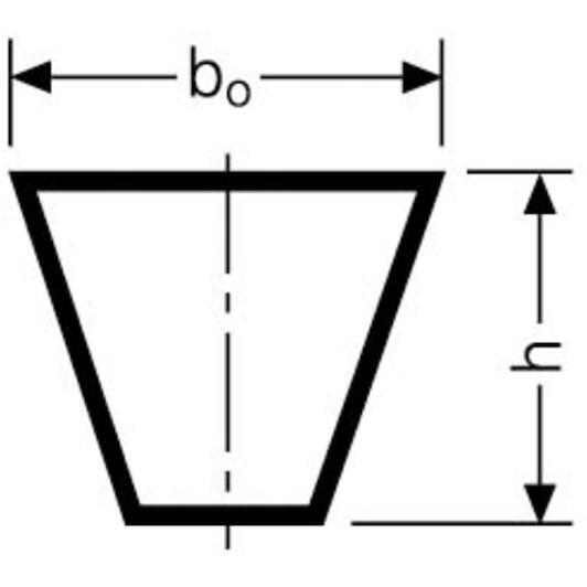 conti_spz2137_2