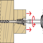 fischer_558883_10
