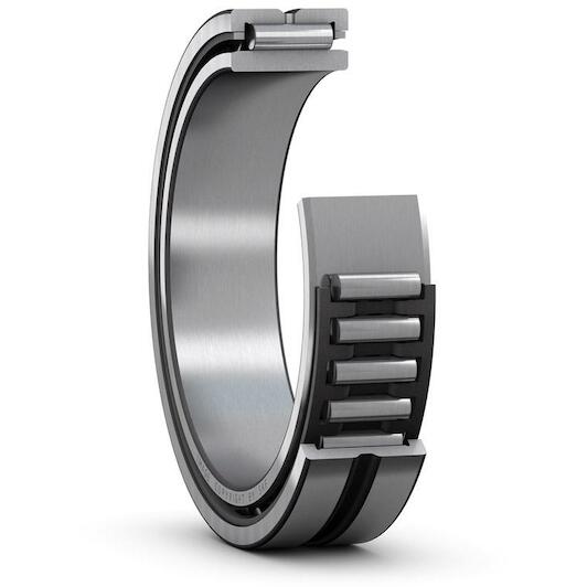 skf_na4905