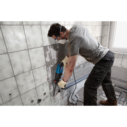 bosch_0611272102_6