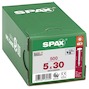 spax_92231000539_4