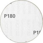 pferd_42870006_2