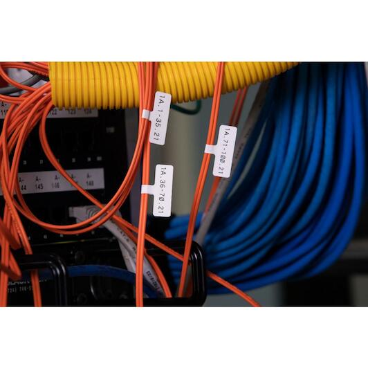 brady_217025_3