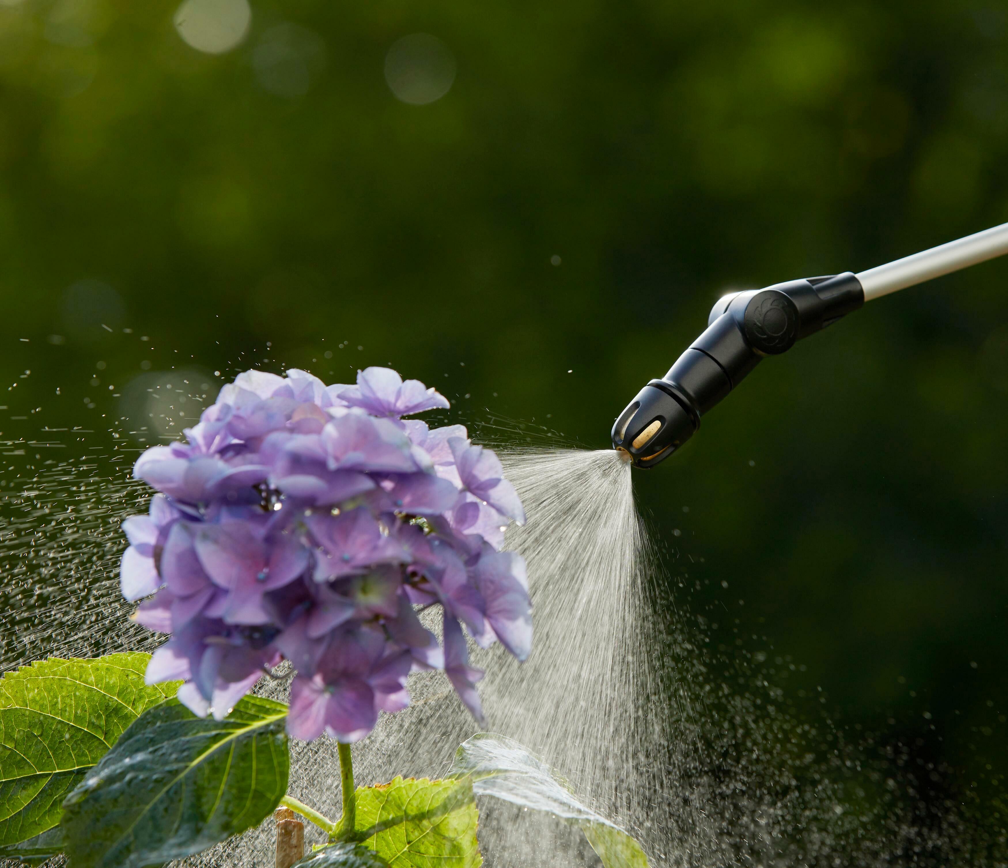 Gardena Easypump pressure sprayer 5 l 11136-20 | Klium.com