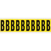 brady_034412