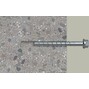 fischer_536863_9