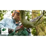 bosch_06008b8402