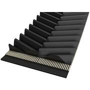 conti_b_2800