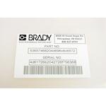 brady_031338_2