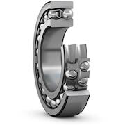 skf_1217c3