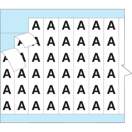 brady_112329_2