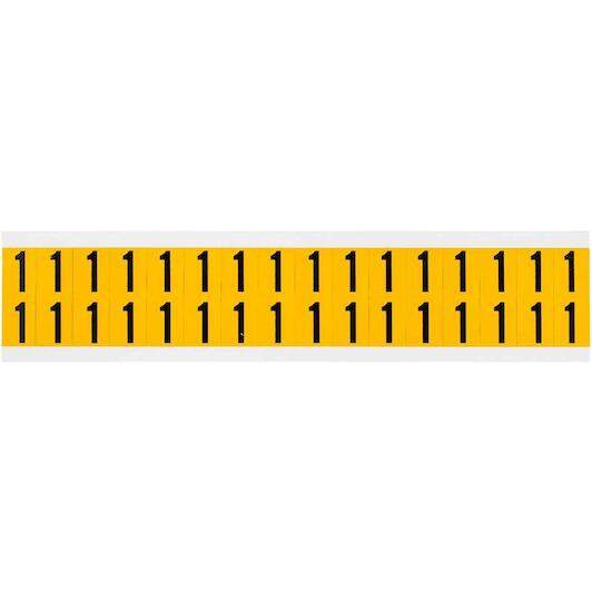 brady_044001
