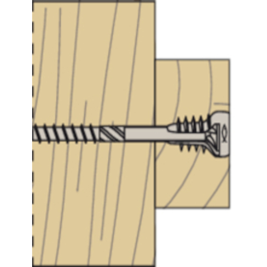 fischer_558882_9