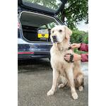 karcher_26438590