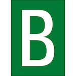 brady_911173